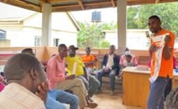 Picture1
