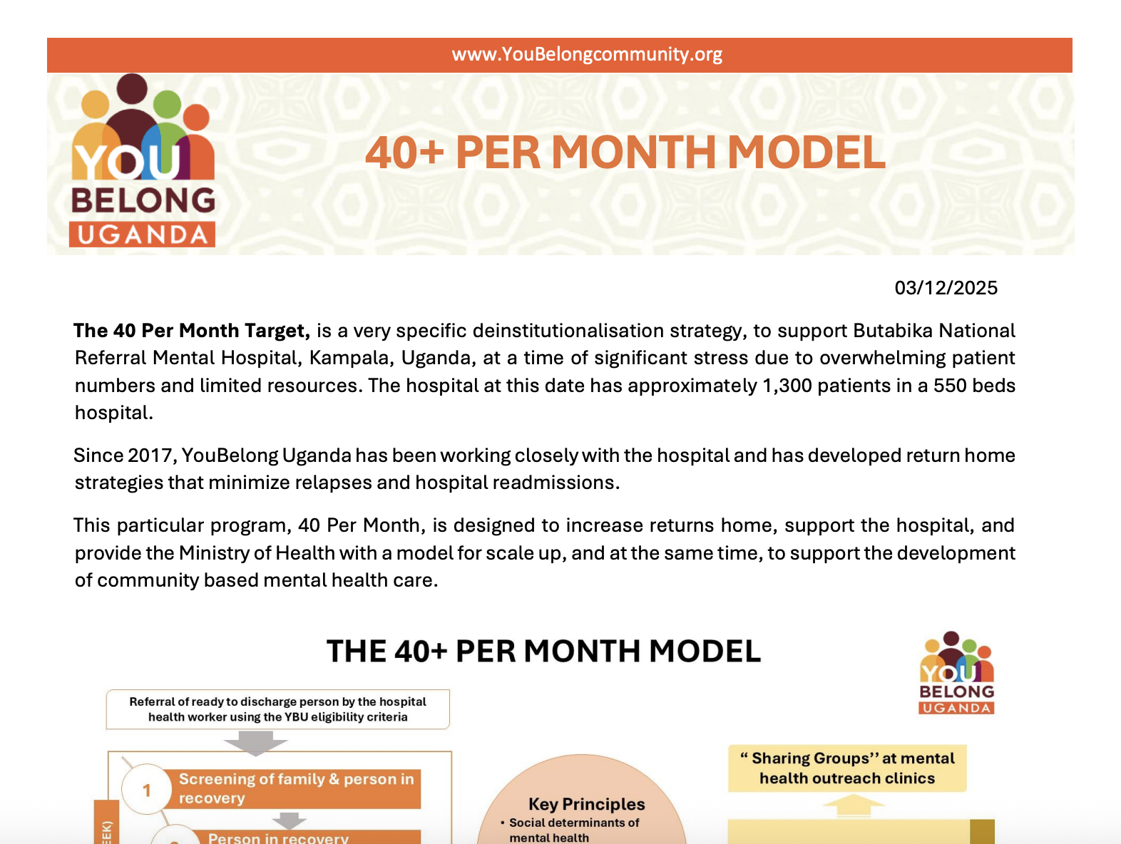 40+ Per Month Model
